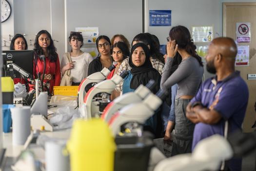 Growing the Research Culture Community at Queen Mary
